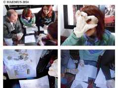 Како изгледа мојот свет од камен